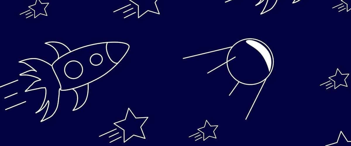 The Challenges of Taking Dogs on Space Travel