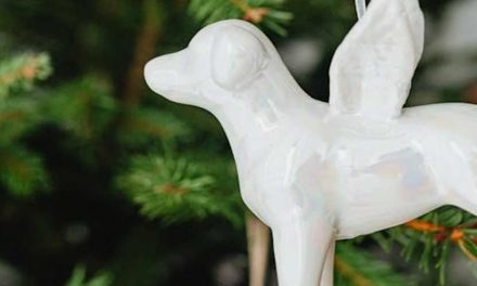 Understanding the Soul of a Dog and Its Importance on Earth