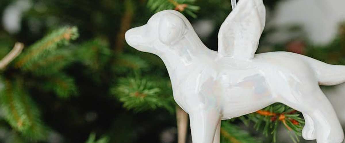 Understanding the Soul of a Dog and Its Importance on Earth