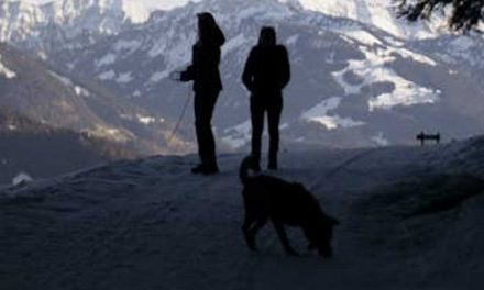 The Value of Tracker Dogs: Unleashing Nature’s Finest Detectives