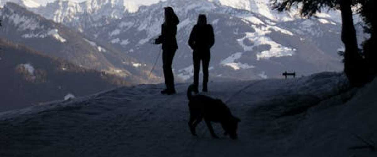 The Value of Tracker Dogs: Unleashing Nature’s Finest Detectives