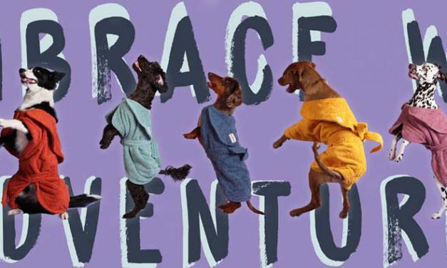 BillowK9: Embracing Wet Adventures with Your Canine Companion