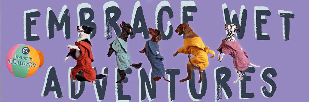 BillowK9: Embracing Wet Adventures with Your Canine Companion