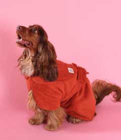 quick drying dog robes for wet dogs