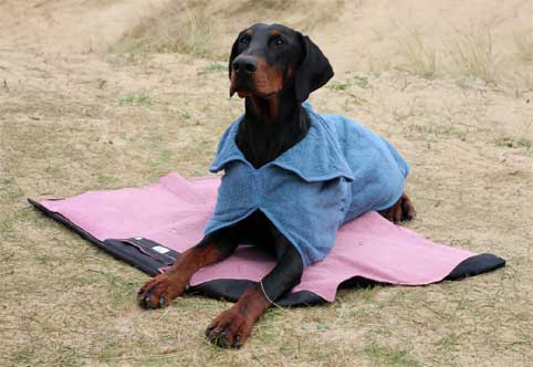 roll up waterproof settle mats for dogs